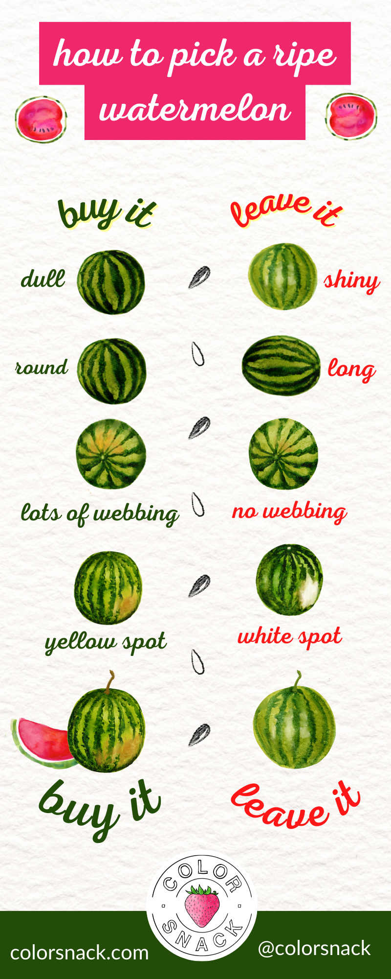 Pick A Perfect Watermelon Infographic 