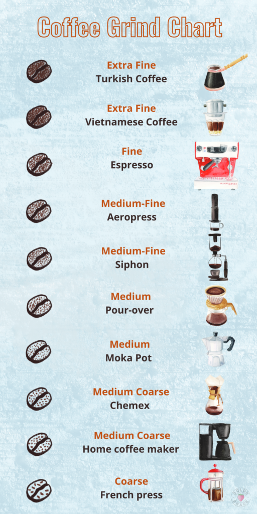 Coffee Grind Chart Watercolor Illustration Infographic